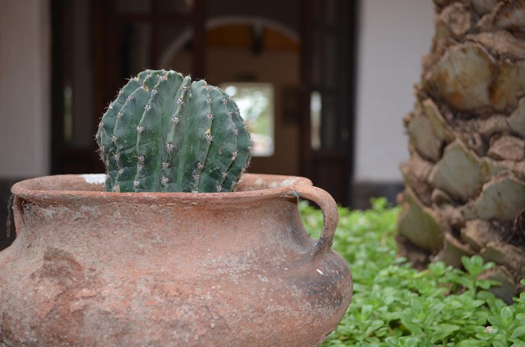 Finca El Carmen Angastaco Eksteriør bilde