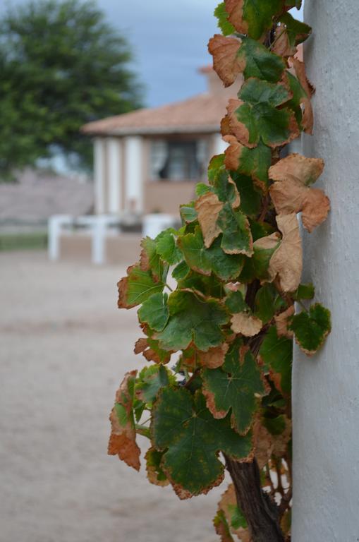 Finca El Carmen Angastaco Eksteriør bilde